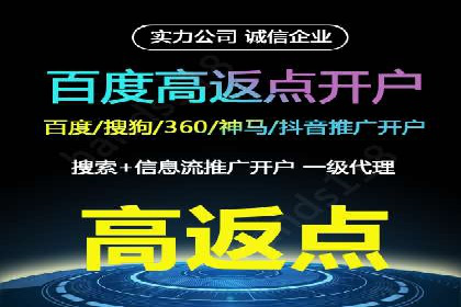 竞价广告赚钱秘籍：百度实战案例